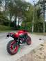 Kawasaki Z 650 *50th anniversary edition* Rouge - thumbnail 3
