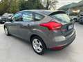 Ford Focus 5p 1.6 tdci 95cv/NEOPATENTATI Gris - thumbnail 6