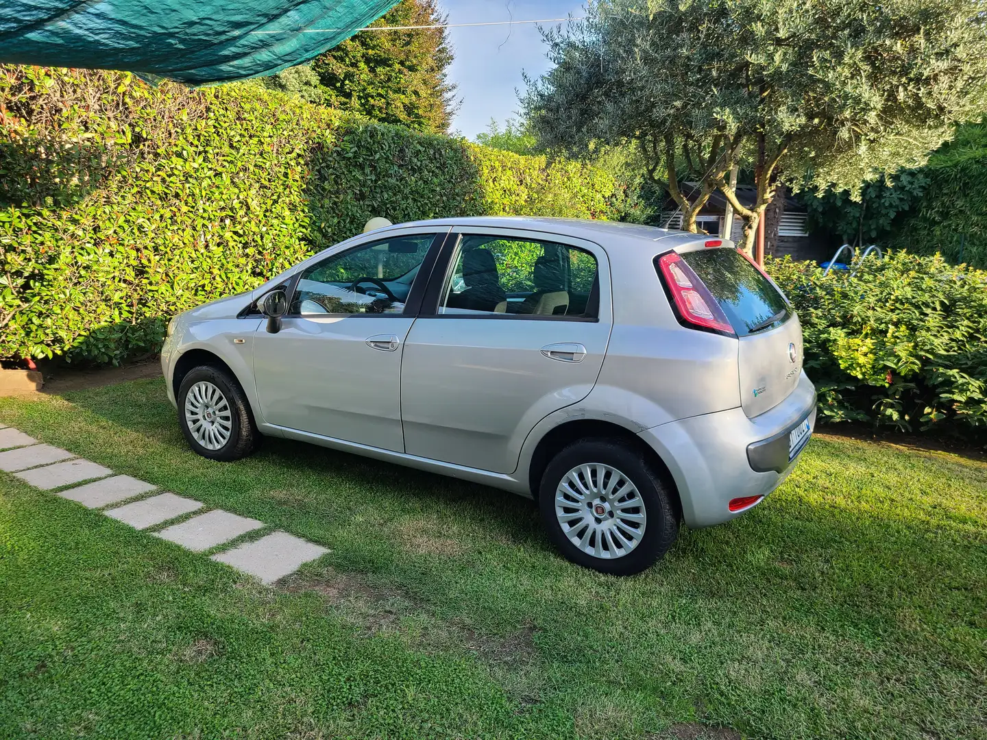 Fiat Punto Evo Punto Evo 5p 1.4 natural power Active 70cv Argintiu - 2