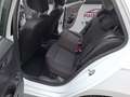 Skoda Fabia Cool Edition , Standort Geldern Weiß - thumbnail 16