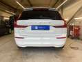Volvo XC60 XC60 B4 B Geartronic Momentum Pro Licht-Paket Weiß - thumbnail 13