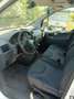 Citroen Jumpy Jumpy L1H1 HDi 125 FAP Standard 1000 Standard Weiß - thumbnail 20