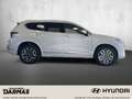 Hyundai SANTA FE SANTA FE Plug-in-Hybrid 4WD SIGNATURE PanoD AHK Blanc - thumbnail 5