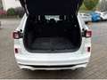 Ford Kuga 1.5 EcoBoost 110kW ST-Line X mit Anhängerk. Weiß - thumbnail 12