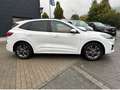 Ford Kuga 1.5 EcoBoost 110kW ST-Line X mit Anhängerk. Weiß - thumbnail 6