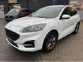 Ford Kuga 1.5 EcoBoost 110kW ST-Line X mit Anhängerk. Weiß - thumbnail 2