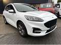 Ford Kuga 1.5 EcoBoost 110kW ST-Line X mit Anhängerk. Weiß - thumbnail 1