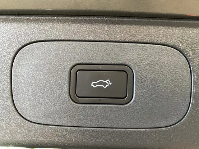 Geely Starray Em-I view 13