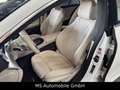 Mercedes-Benz CLS 220 d AMG Line Top Ausstattung Blanco - thumbnail 16