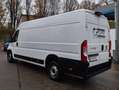 Fiat Fiat Ducato Maxi KW L4H2 140 Weiß - thumbnail 4