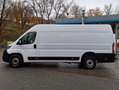 Fiat Fiat Ducato Maxi KW L4H2 140 Weiß - thumbnail 3