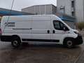 Fiat Fiat Ducato Maxi KW L4H2 140 Weiß - thumbnail 12