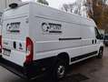 Fiat Fiat Ducato Maxi KW L4H2 140 Weiß - thumbnail 11