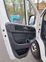 Fiat Fiat Ducato Maxi KW L4H2 140 Weiß - thumbnail 14