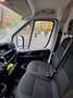Fiat Fiat Ducato Maxi KW L4H2 140 Weiß - thumbnail 17