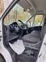 Fiat Fiat Ducato Maxi KW L4H2 140 Weiß - thumbnail 15
