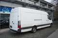 Mercedes-Benz Sprinter III Kasten RWD/AWD 316 CDI RWD Weiß - thumbnail 3