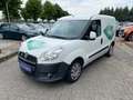 Fiat Doblo Cargo / Pritsche SX Kasten Blanc - thumbnail 4