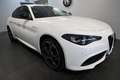 Alfa Romeo Giulia 2.0 16V 280 AT8 Q4 VELOCE Weiß - thumbnail 6
