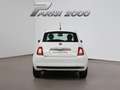 Fiat 500 1.0 Hybrid 70CV Cult *PROMO PARISI GROUP* Bianco - thumbnail 7