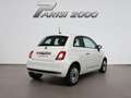 Fiat 500 1.0 Hybrid 70CV Cult *PROMO PARISI GROUP* Bianco - thumbnail 3