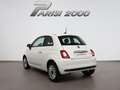 Fiat 500 1.0 Hybrid 70CV Cult *PROMO PARISI GROUP* Bianco - thumbnail 4
