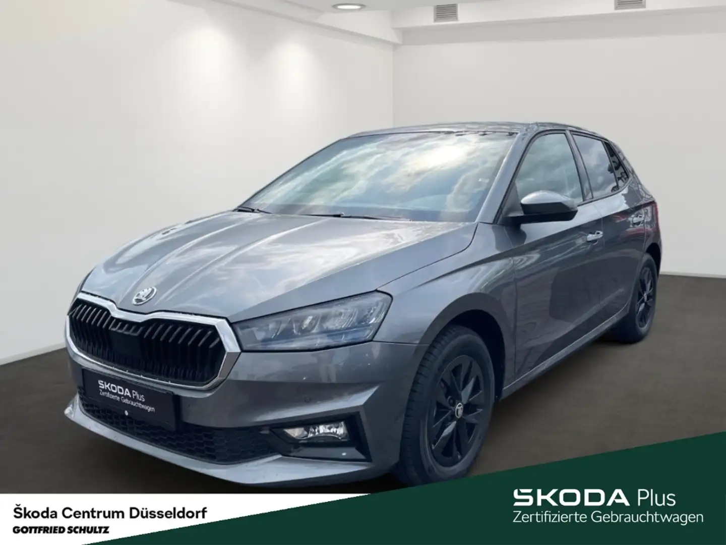 Skoda Fabia Selection LM-Felge Infotainment-Paket Winter-Paket Gris - 2