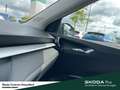 Skoda Fabia Selection LM-Felge Infotainment-Paket Winter-Paket Grau - thumbnail 22