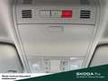 Skoda Fabia Selection LM-Felge Infotainment-Paket Winter-Paket Grau - thumbnail 16