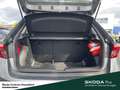 Skoda Fabia Selection LM-Felge Infotainment-Paket Winter-Paket Grau - thumbnail 10