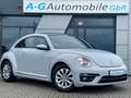 Volkswagen Beetle 1.2 TSI Design BMT /Navi/PDC/Kurvenlicht Weiß - thumbnail 1