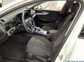 Audi A4 allroad 40 TDI qu. Stronic,LED,Navi+,ACC,Standh.,360° Weiß - thumbnail 3