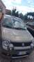 Fiat Panda Panda 1.3 mjt 16v Cross 4x4 75cv Oro - thumbnail 4