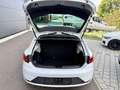 SEAT Leon FR ACC|SPUR|AMBIENTE|CARPLAY|SEATSOUND Blanc - thumbnail 29
