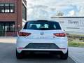 SEAT Leon FR ACC|SPUR|AMBIENTE|CARPLAY|SEATSOUND Blanc - thumbnail 9