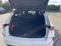 Opel Astra PLUG IN HYBRID GS LINE Blanco - thumbnail 12
