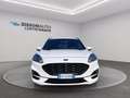 Ford Kuga 1.5 ecoblue ST-Line 2wd 120cv auto Blanco - thumbnail 7