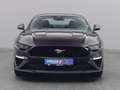 Ford Mustang GT Coupé V8 450PS Aut./Premium2 -11%* Paars - thumbnail 6