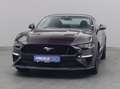Ford Mustang GT Coupé V8 450PS Aut./Premium2 -11%* Burdeos - thumbnail 48