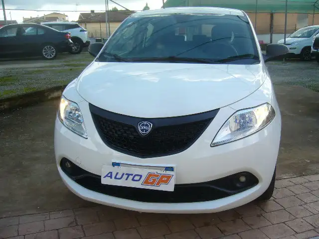 Lancia Ypsilon 1.2 cc  elefantino