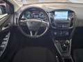 Ford Focus Focus IV 2015 SW SW 1.5 tdci Nero - thumbnail 12