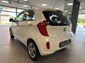 Kia Picanto Picanto 1.0 City Gpl 5p my13 - thumbnail 4