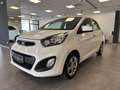 Kia Picanto Picanto 1.0 City Gpl 5p my13 - thumbnail 3