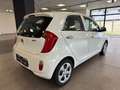 Kia Picanto Picanto 1.0 City Gpl 5p my13 - thumbnail 6