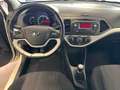 Kia Picanto Picanto 1.0 City Gpl 5p my13 - thumbnail 9