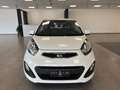 Kia Picanto Picanto 1.0 City Gpl 5p my13 - thumbnail 2