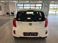 Kia Picanto Picanto 1.0 City Gpl 5p my13 - thumbnail 5