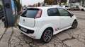 Fiat Punto Evo 3p Sport 1.6 16v Multijet 120 CV DPF Blanc - thumbnail 9