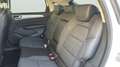 Renault Arkana 1.3 TCe Zen EDC 103kW Blanco - thumbnail 22