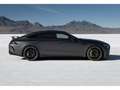 Mercedes-Benz AMG GT 63 (S) 4M+ Aero Magno LED Pano Navi Lu Gris - thumbnail 9